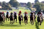 Leicester racecourse