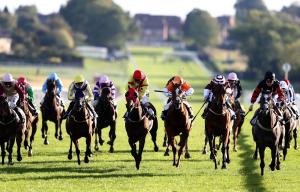 Leicester racecourse