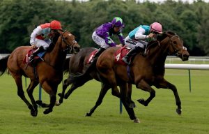 Haydock racecourse