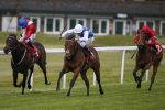 Sandown racecourse