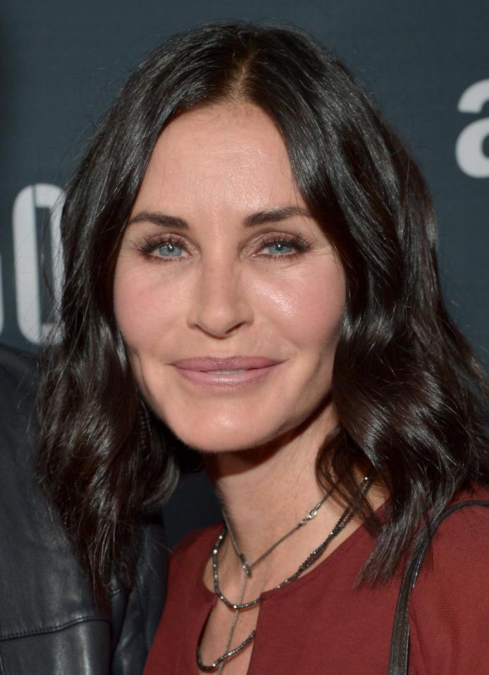  Courtney, pictured here in 2015, when she was using fillers