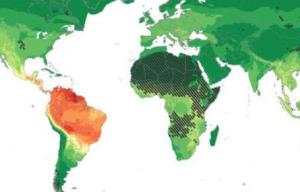 New danger maps that predict where in the world the next pandemics could break out, show South America is a hotspot for viruses passed from bats to humans