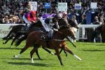 Rajasinghe won the 2017 Coventry Stakes