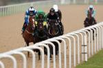 Wolverhampton racecourse