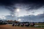 Wolverhampton racecourse
