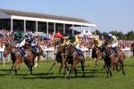 York racecourse