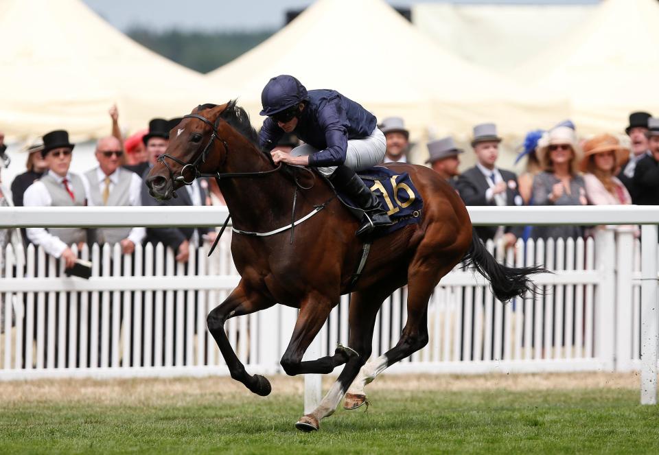 September ascot
