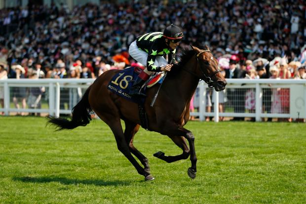 Lady Aurelia