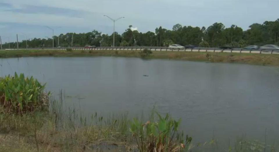  The attack happened in a retention pond in Port Charlotte