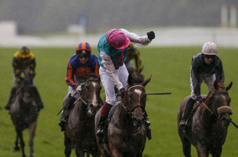 Enable