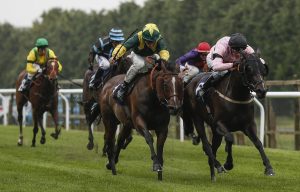 racecourse