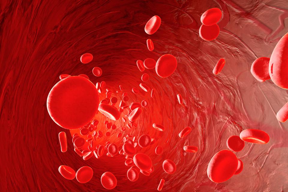 Blood