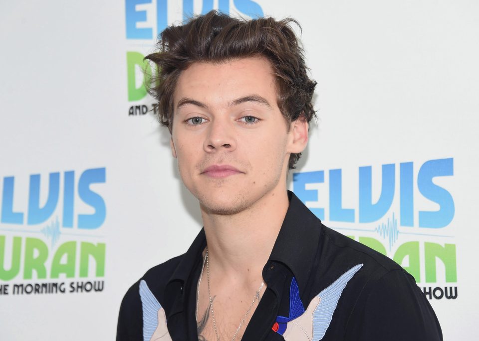  Harry Styles landed two nominations for his debut solo single, Sign Of The Times