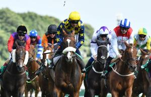 Haydock racecourse