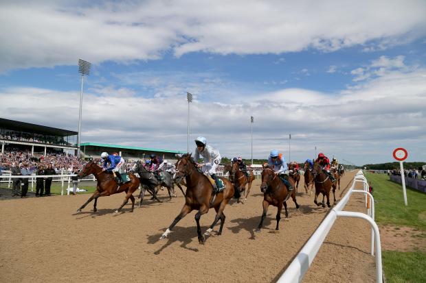Higher Power can land the Northumberland Plate for the second year in a row