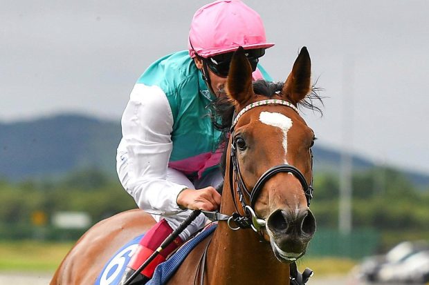 Superstar filly Enable will not run until at least August