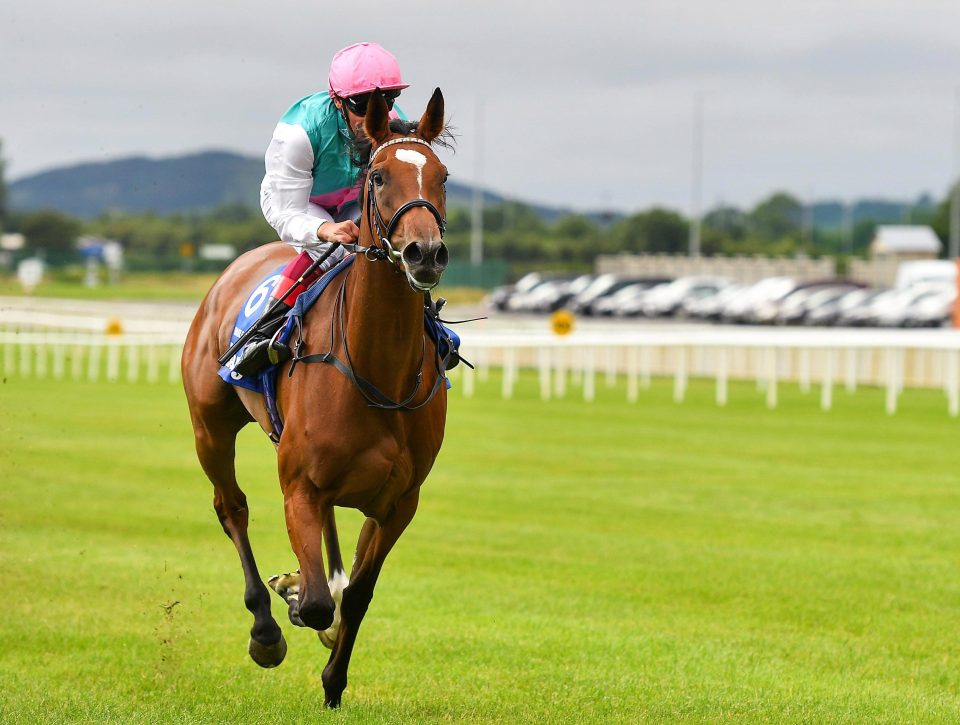 Enable