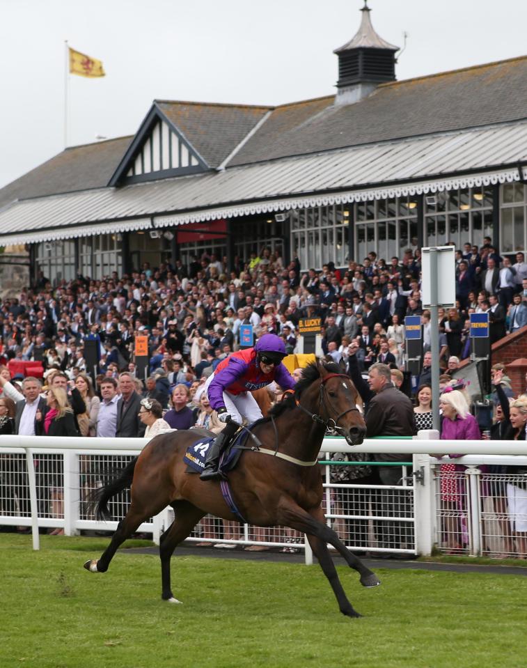  Musselburgh plays host the main action on Saturday