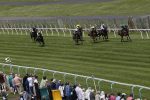 brighton racecourse