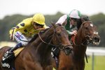 haydock racecourse