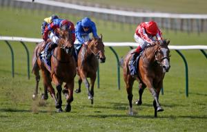 Unforgetable Filly
