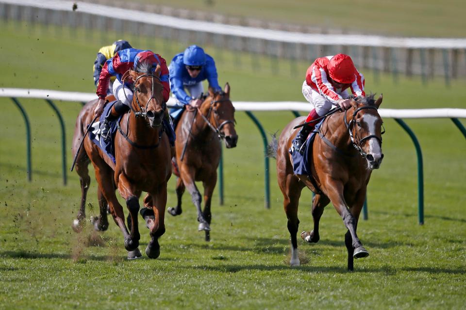 Unforgetable Filly