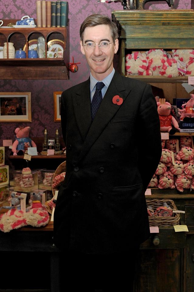  Mr Rees-Mogg said he had no ambitions higher than being re-elected as an MP