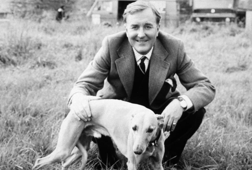 Hardy as Siegfried Farnon in All Creatures Great and Small