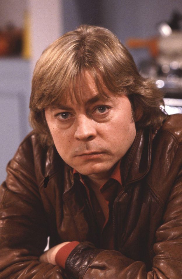  Hywel as James Shelley, in the hit sitcom of the same name