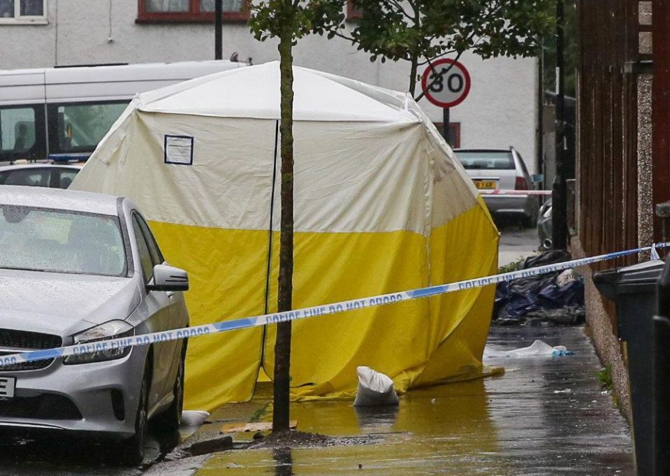  The 15-year-old boy died after he was attacked on his way home in Thornton Heath, south London