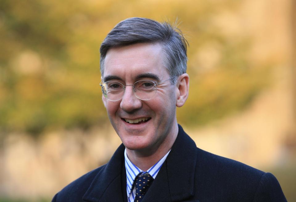  Jacob Rees-Mogg has reportedly privately let slip his ambition to become PM