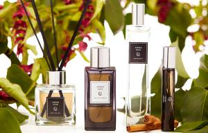Primark’s new perfume range is in stores now… and prices start at just £3