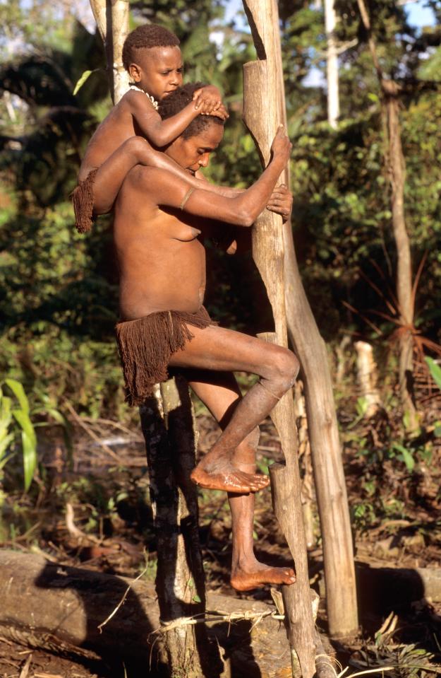A mother climbs the treehouse ladder to her home with her child wrapped around her neck and holding onto her head
