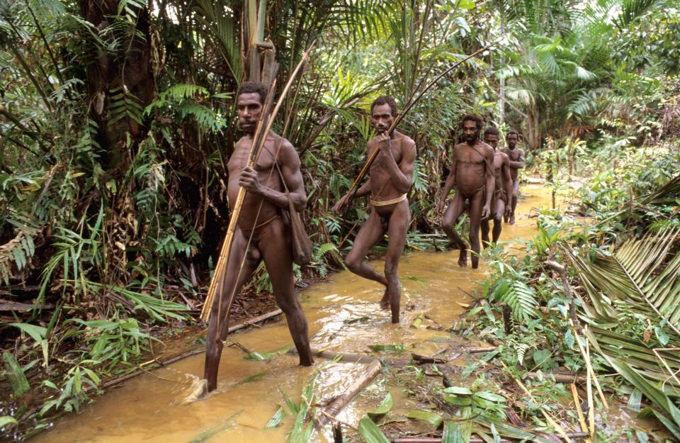Korowai hunters in the rainforest searching for the day's food in the striking shots taken in 2000