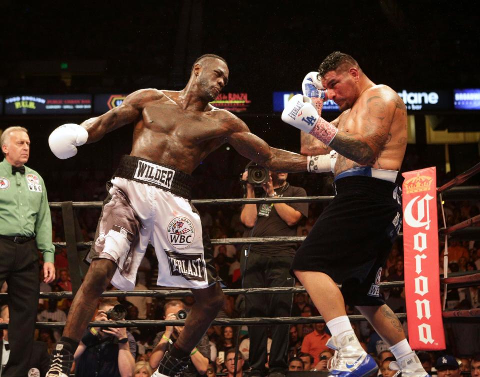  Wilder owns the WBC version of the heavyweight title