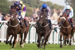 Ayr Racecourse is the place to look for our tip of the day - Forest Ranger