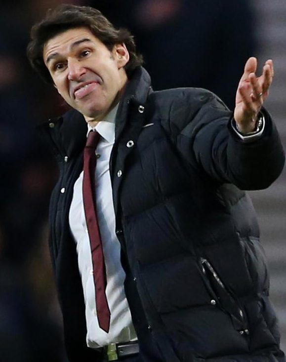 Karanka has turned down a move to La Liga club Alaves in his homeland
