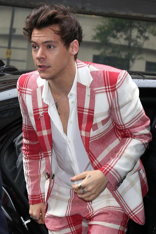  The singer will appear in BBC documentary titled Harry which will be broadcast in November