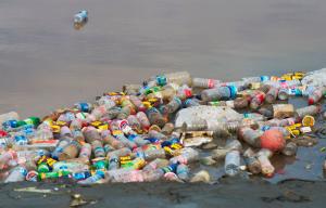 How bottle deposit return scheme works and how much money you can get back