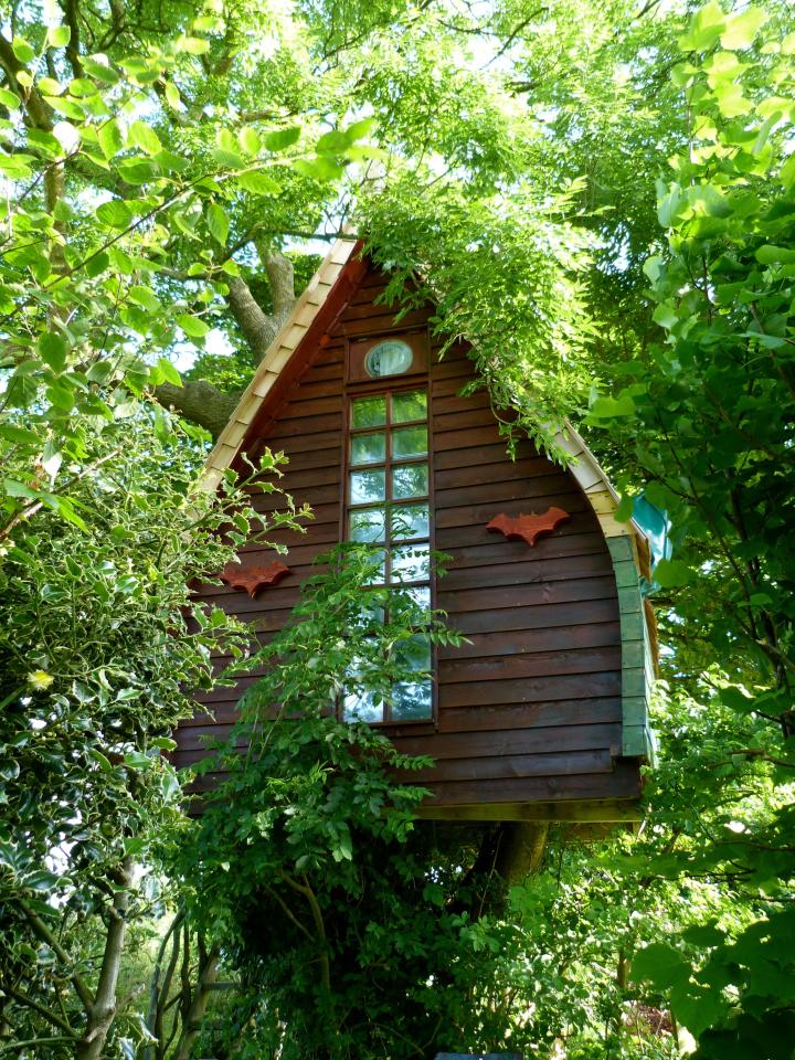 Do you dream of spending the night up a tree? Try Tree Sparrow House in Cornwall