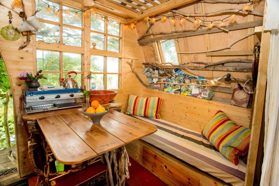 Magical: Inside Tree Sparrow house