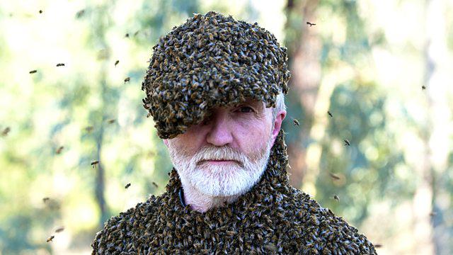  Entomologist George McGavin is on the show