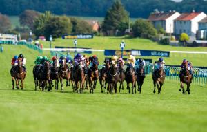 Today's racing comes from Chelmsford, Warwick, Lingfield and Huntingdon