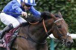 Battaash has had a wind op - so could be even better this year!