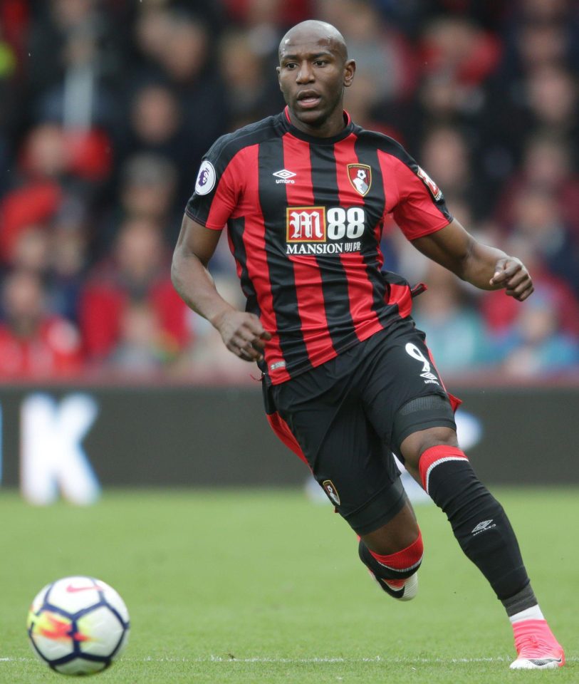  Afobe has played for many teams since leaving Arsenal
