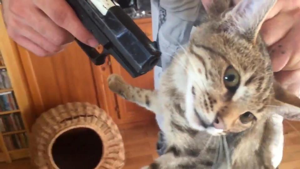  Ferraro told John Cleese he would shoot his cat if he didn't get a retweet