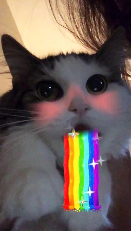 Snapchat