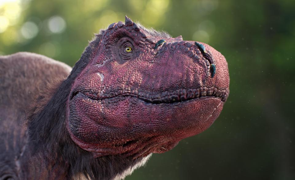 Cutting-edge 3D effects and animatronics bring extinct animals back to life