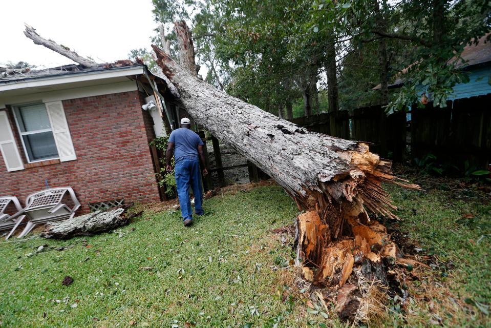  Lawrence Carriere checks on the home of his neighbour after a tree fell on it and crashed through the roof