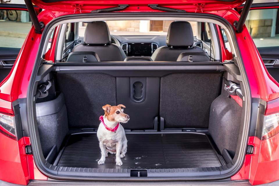  The boot mat is reversible — one side carpet, one side easy-clean plastic for dogs or pushchairs